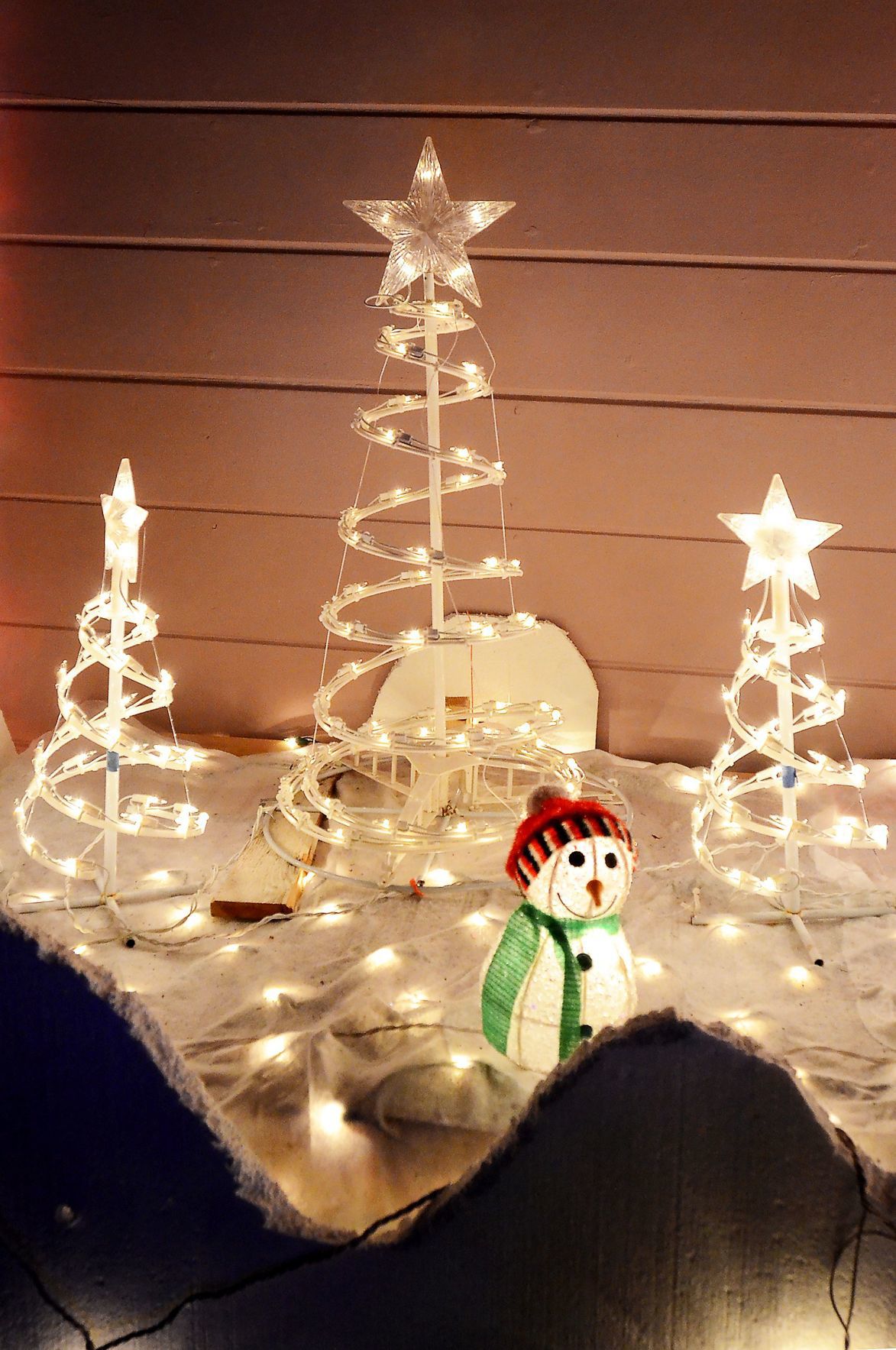 Napa Christmas lights